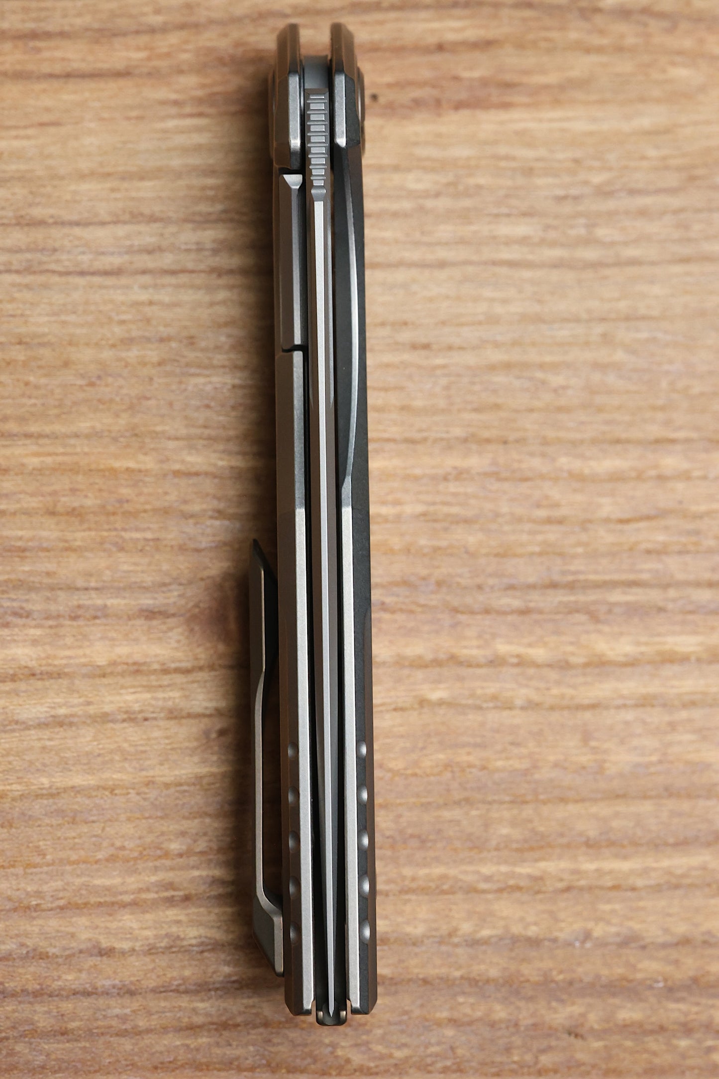 SHIROGOROV ASTRUM W/ BRONZE ACCENTS - M390 BLADE - MRBS
