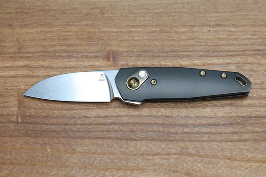 ANSO OF DENMARK - AROS DLC TITANIUM - RWL34 #922