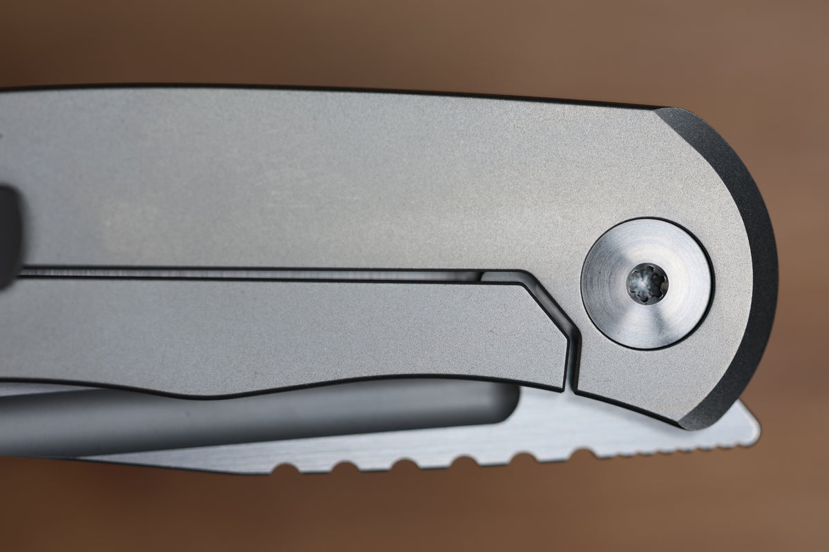 BERGBLADES MINI ALPHA FRAME LOCK LIGHT BEADBLAST TITANIUM S90V BELT SATIN