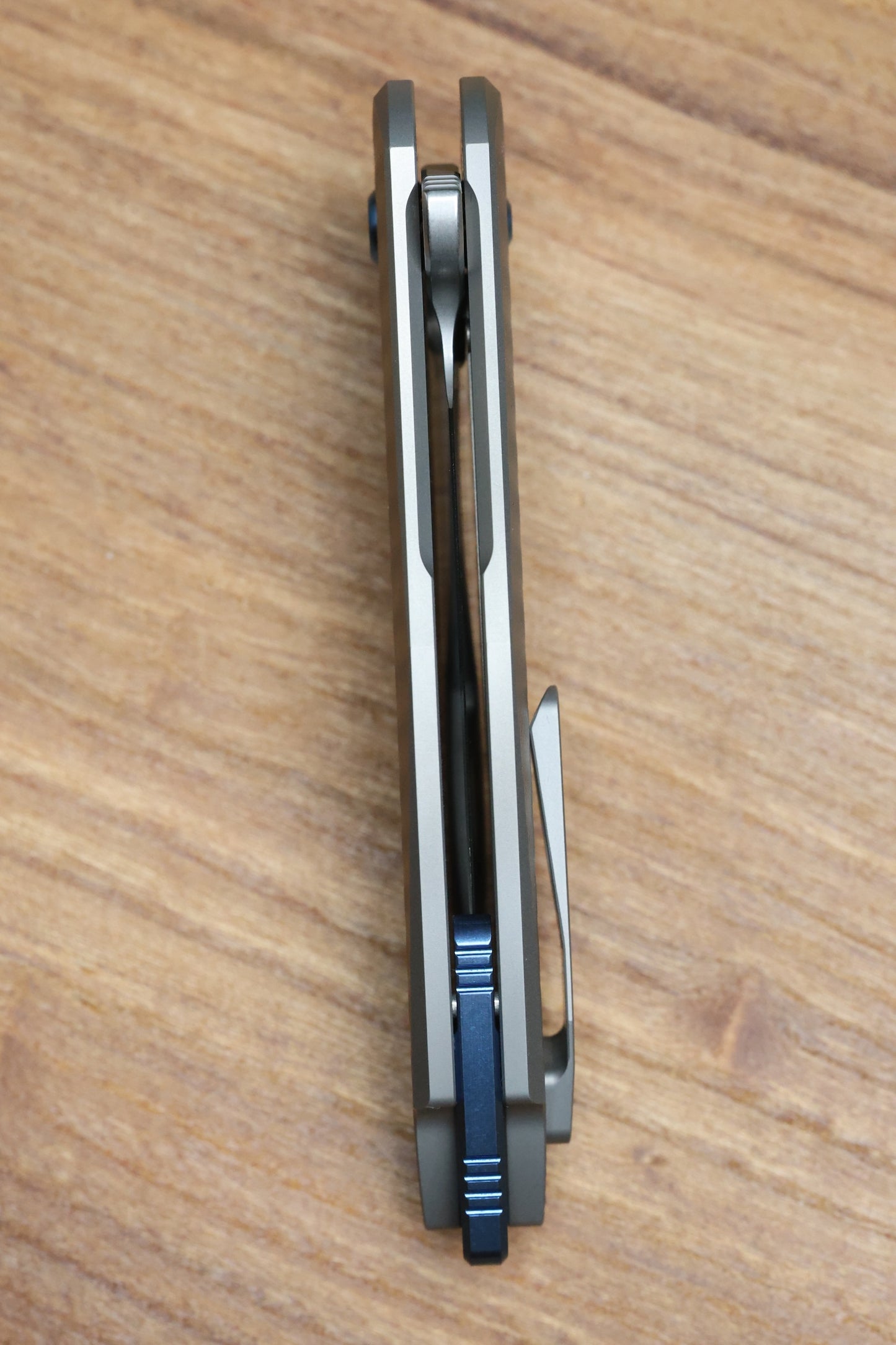 KOENIG MINI ARIUS - PLEXA TITANIUM HANDLE - BLUE HARDWARE - BURNISHED W/ POLISHED FLATS M390 BLADE