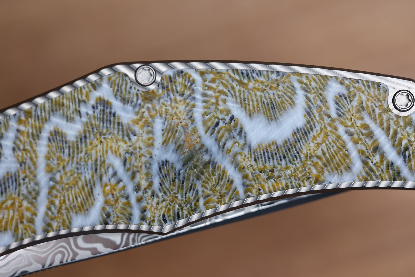 HOLT BLADEWORKS RENEGADE FOSSILIZED CORAL INLAY TITANIUM VINLAND DAMASTEEL #261