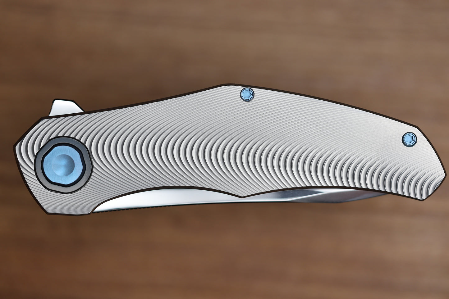 HOLT BLADEWORKS RENEGADE RIDGEBACK TITANIUM ZIRCONIUM COLLARS #288