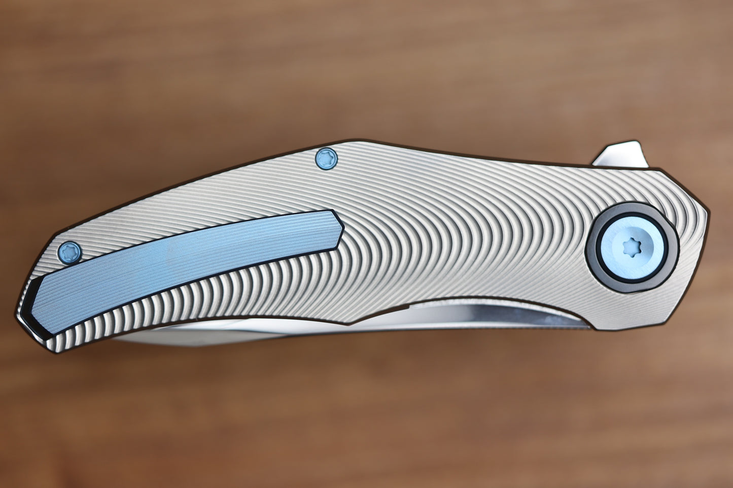 HOLT BLADEWORKS RENEGADE RIDGEBACK TITANIUM ZIRCONIUM COLLARS #288