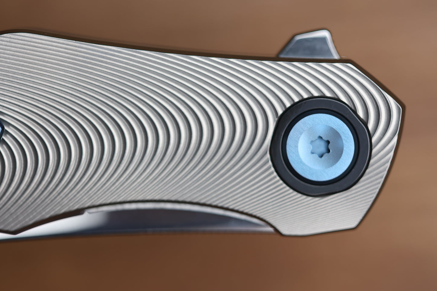 HOLT BLADEWORKS RENEGADE RIDGEBACK TITANIUM ZIRCONIUM COLLARS #288