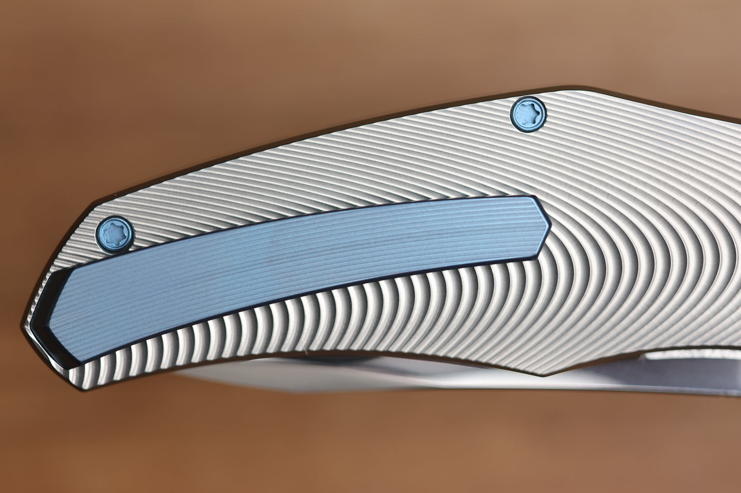 HOLT BLADEWORKS RENEGADE RIDGEBACK TITANIUM ZIRCONIUM COLLARS #288